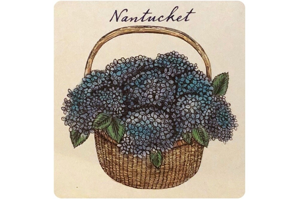 Coaster - Hydrangea Basket