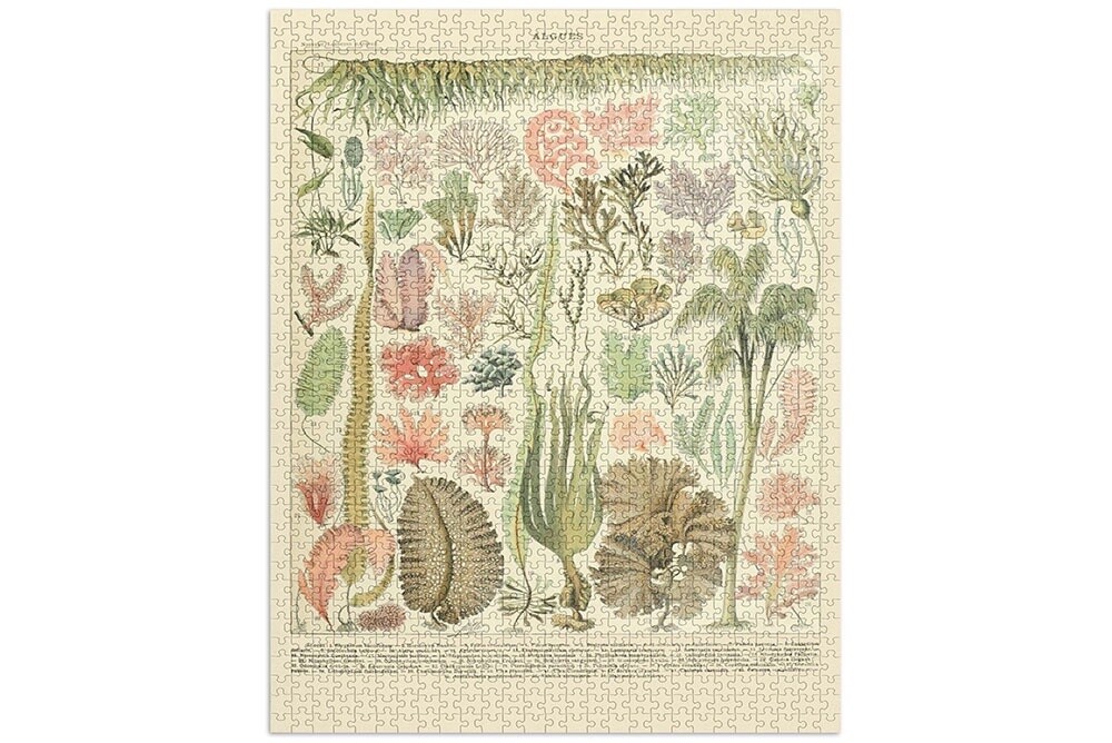 Puzzle Adolphe Philippe Millot Algae
