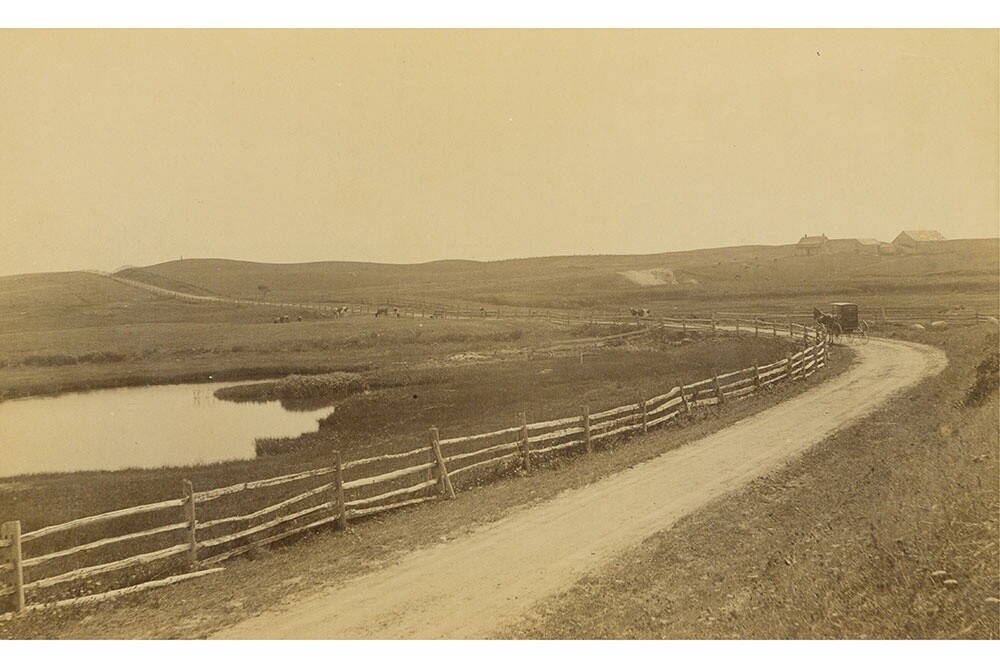 Polpis Road Looking East, 1902