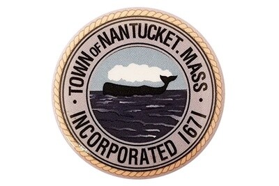 1671 Nantucket Town Seal Pin
