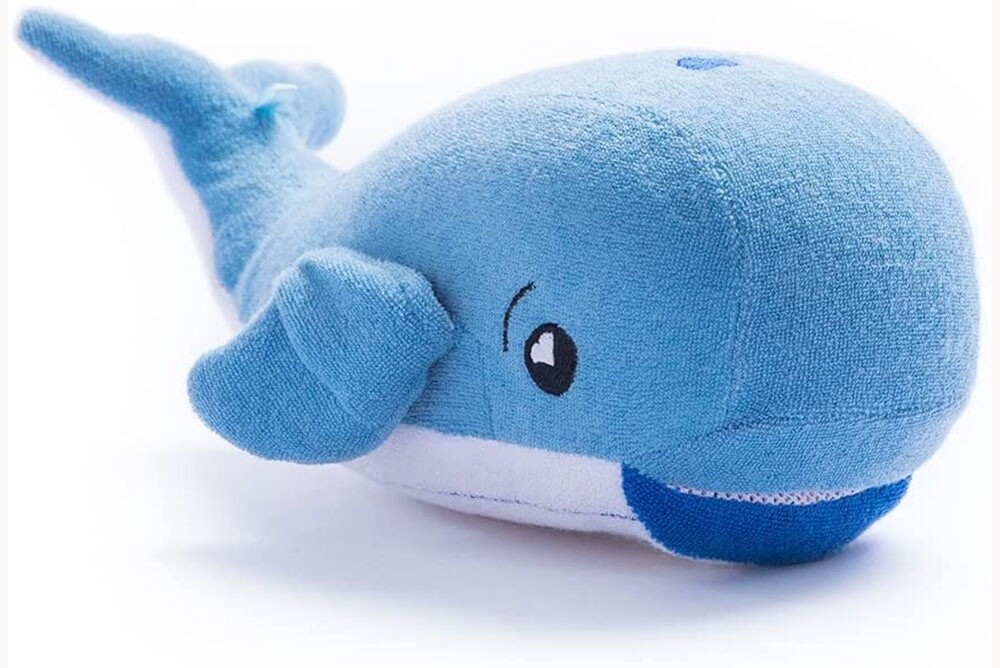 Jackson The Whale