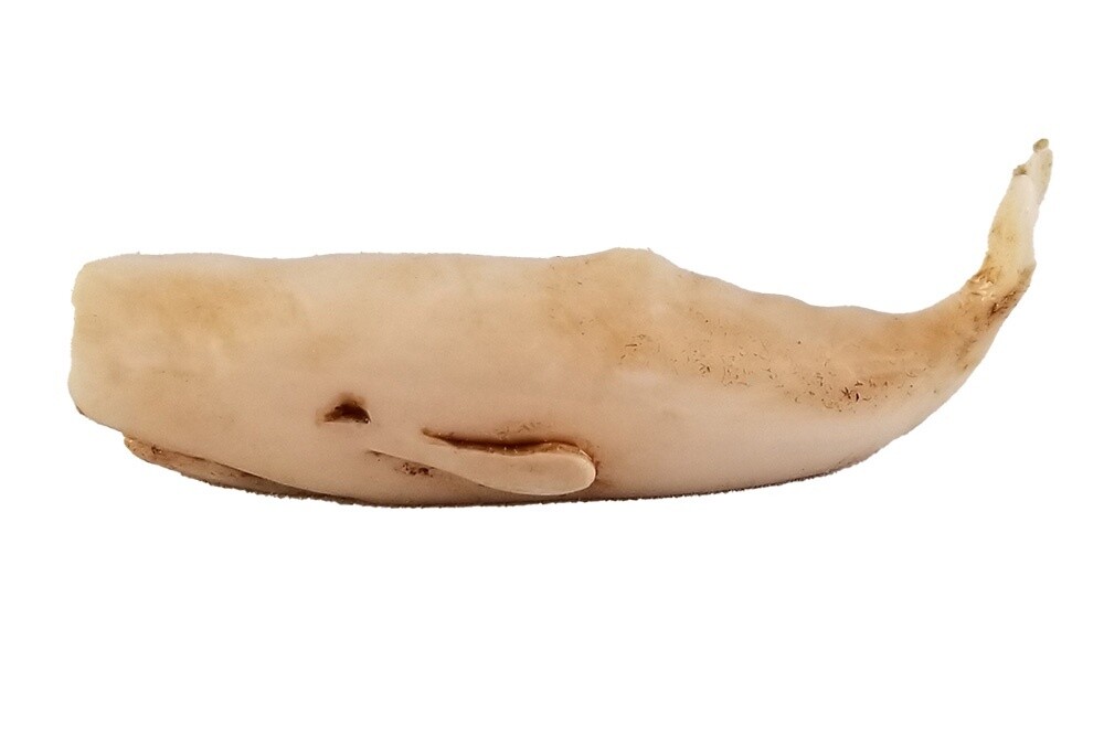 Sperm Whale Figurine, Miniature Reproduction Scrimshaw
