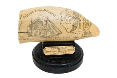 Reproduction Scrimshaw Tooth Susan 2/6/29