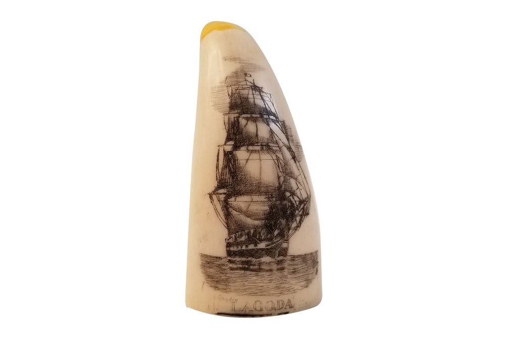 Scrimshaw Tooth, Small Reproduction Ship Lagoda