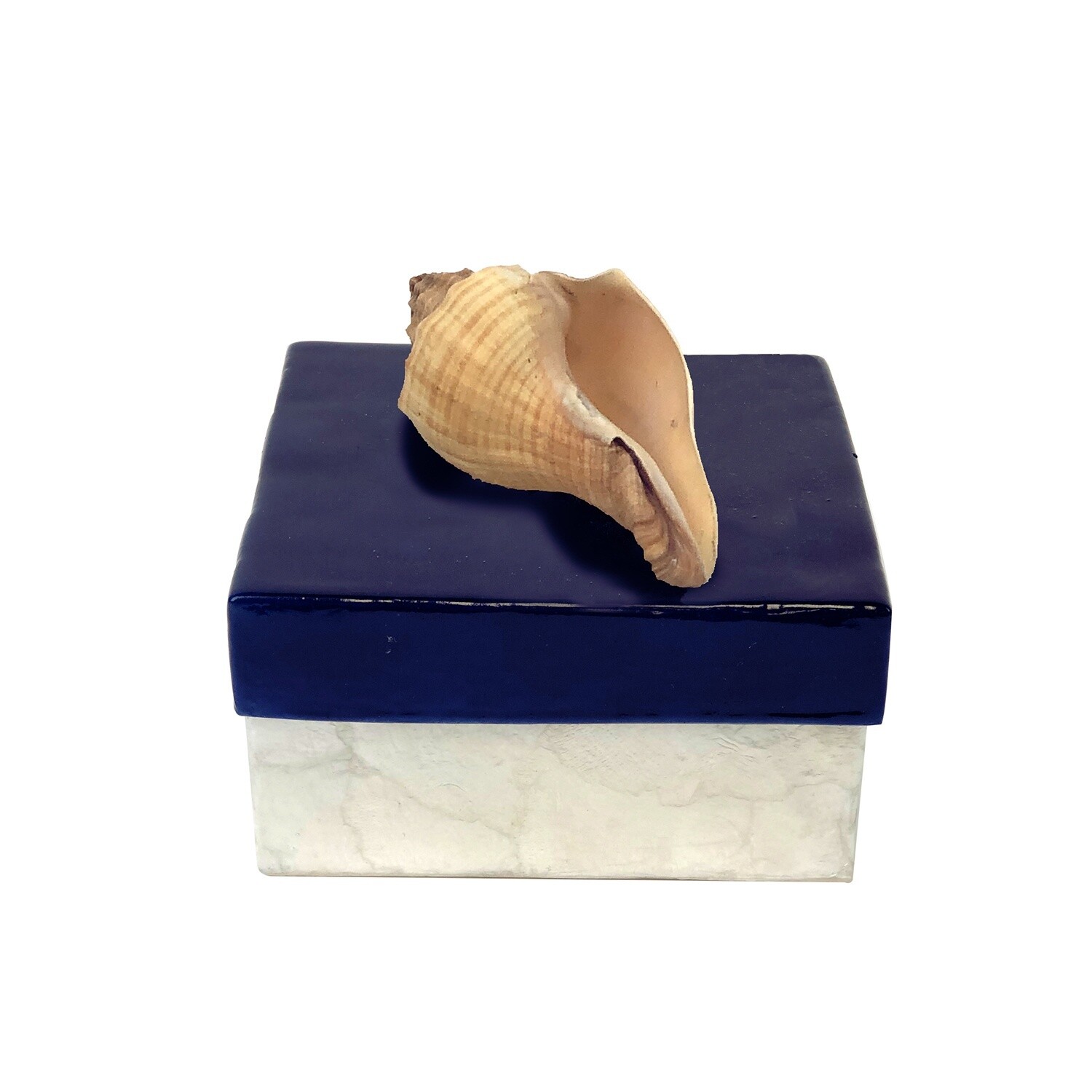 Navy Capiz box w/shell on top