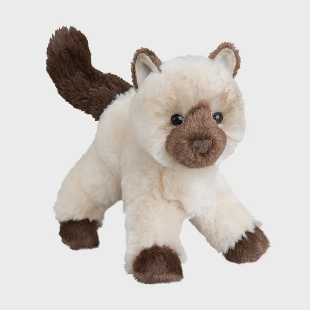Hilda Himalayan Kitty