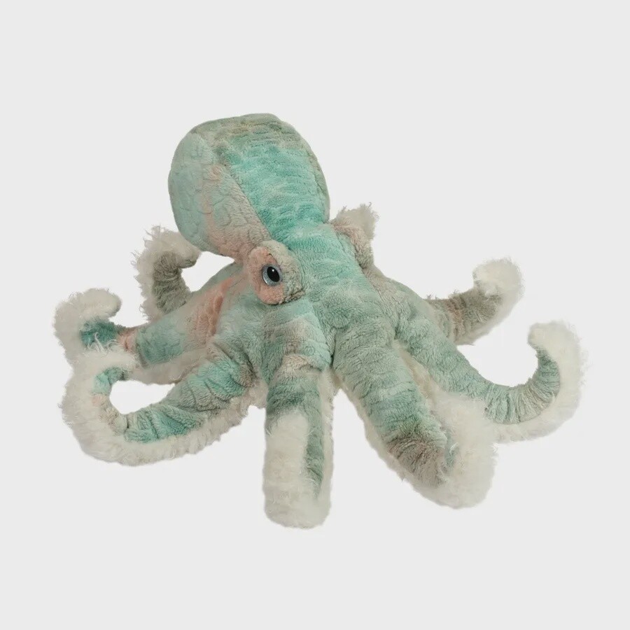 Winona Octopus