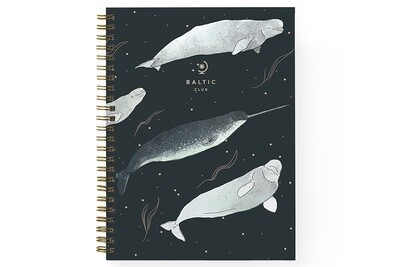 Beluga Whales Notebook