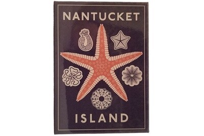 Magnet-Nantucket Starfish