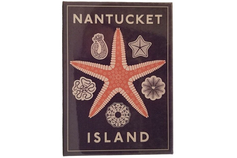 Magnet-Nantucket Starfish