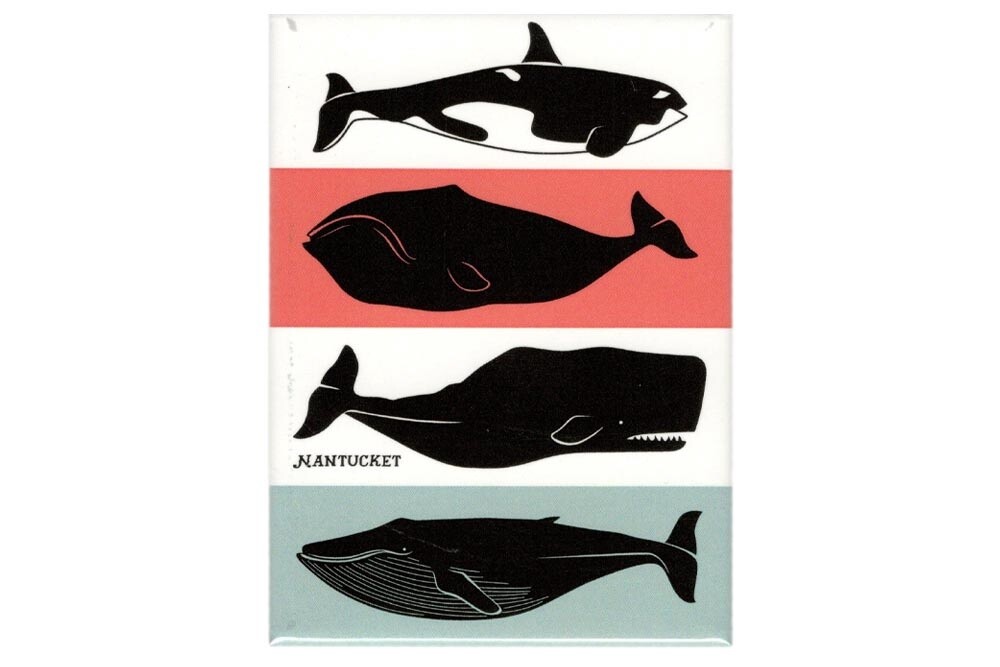 Magnet-Nantucket Whales