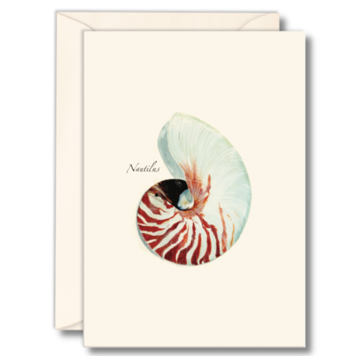 Nautilus Shell Note Cards