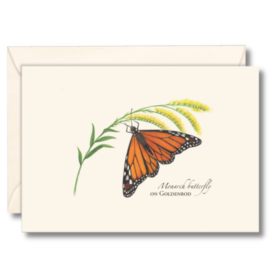 Monarch Butterfly on Goldenrod Note Cards
