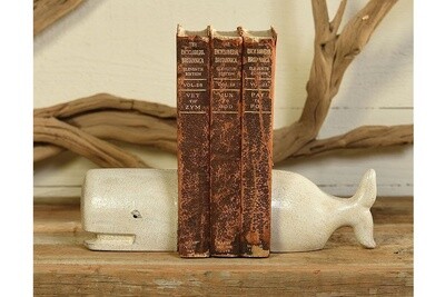 Cast Iron White Whale Bookends