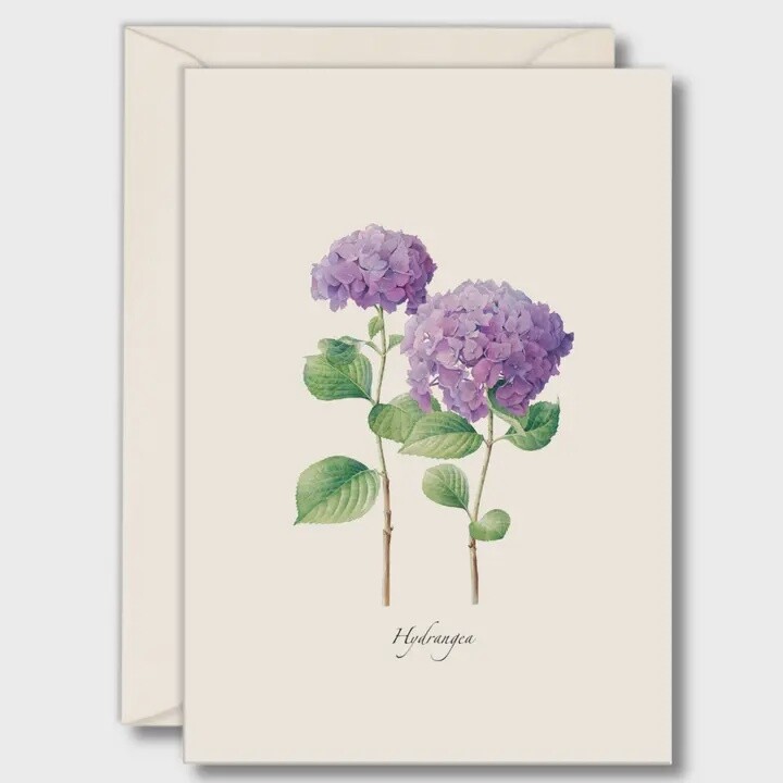 Hydrangea II note cards