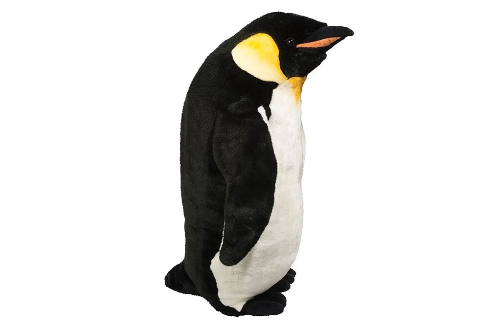 Orville the Emperor Penguin