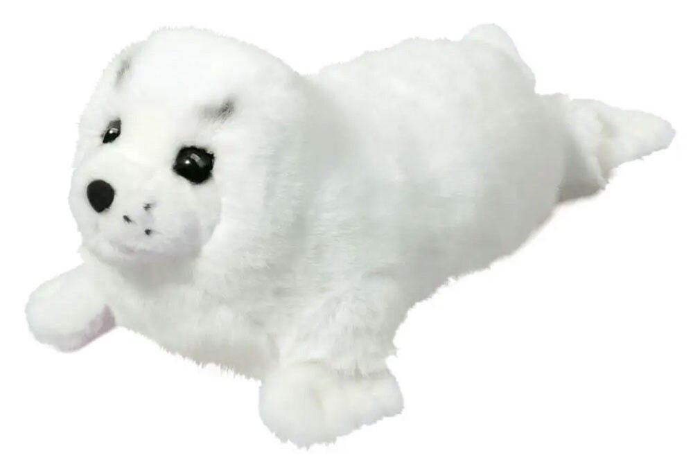 Twinkle the Harp Seal Pup