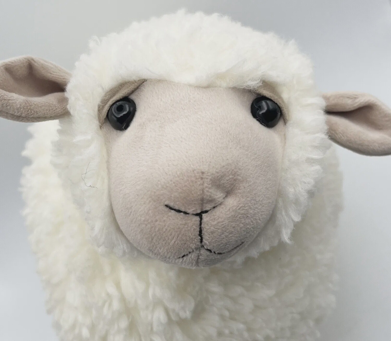 Rolbie Sheep