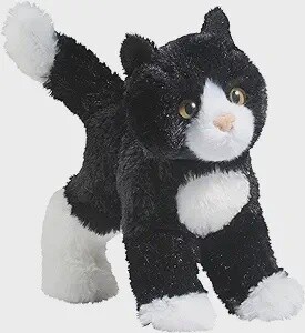 Snippy the Black and White Cat