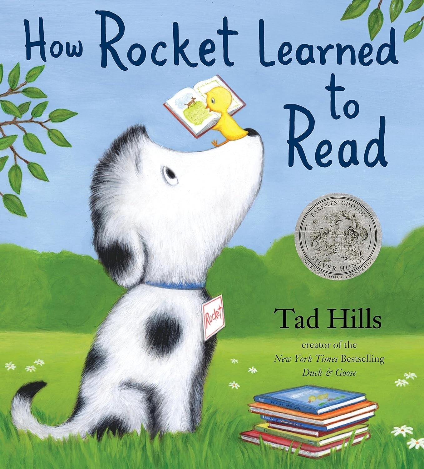 How Rocket learned to read