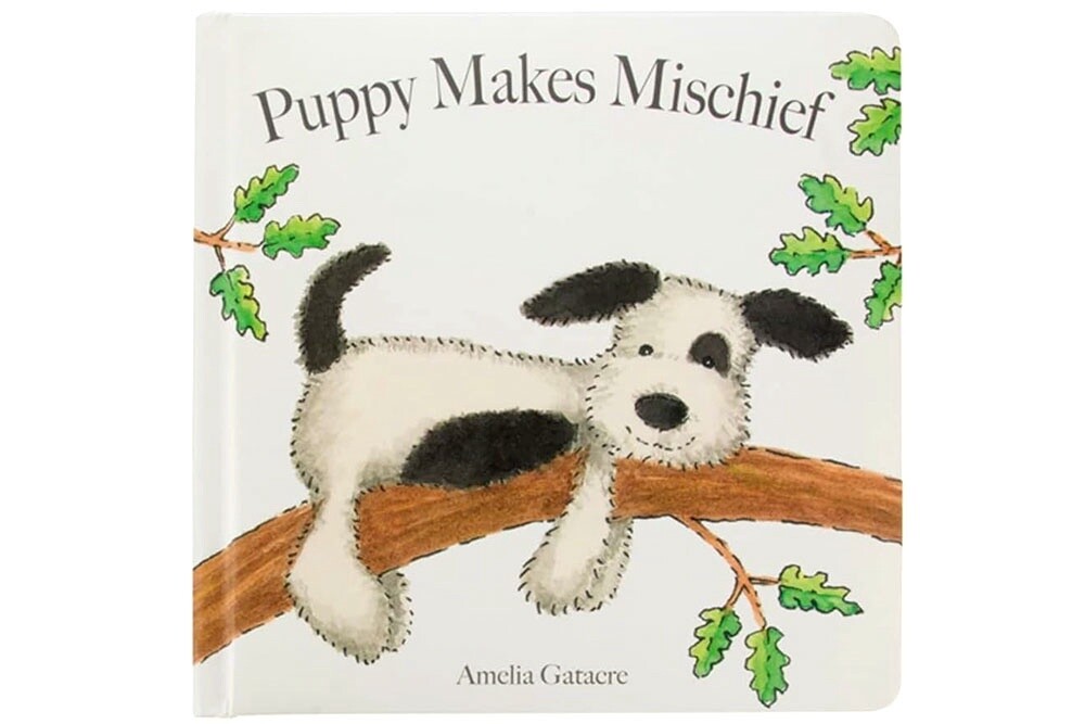 Puppy Makes Mischief