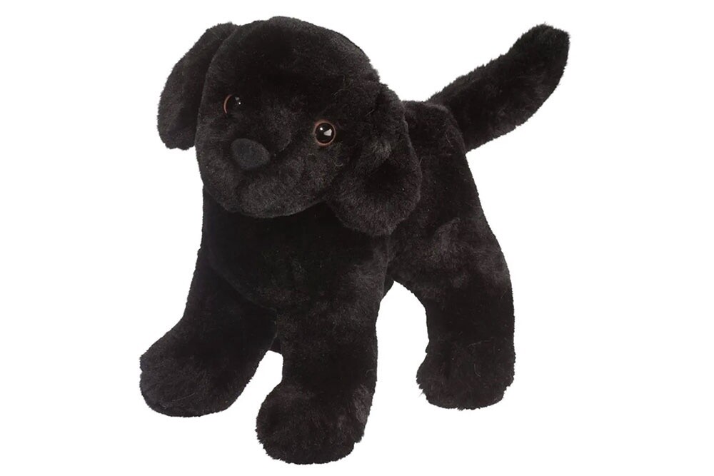 Abraham Black Lab
