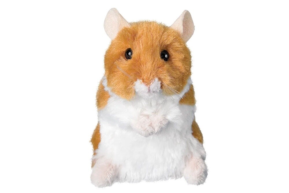 Brushy Hamster