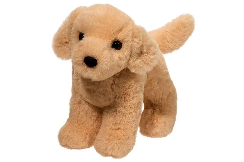 Cornell Yellow Lab
