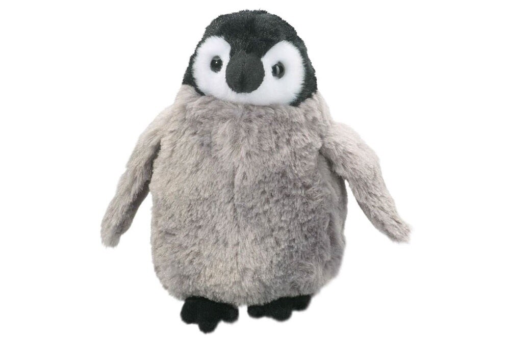 Cuddles Penguin Chick