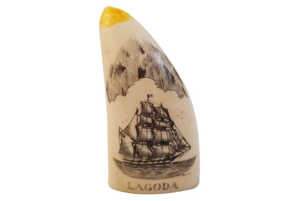Scrimshaw Tooth, Large Reproduction Ship Lagoda