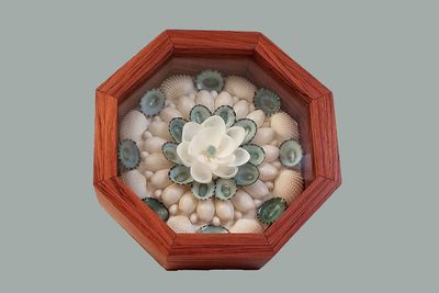 Sailor&#39;s Valentine Online Workshop