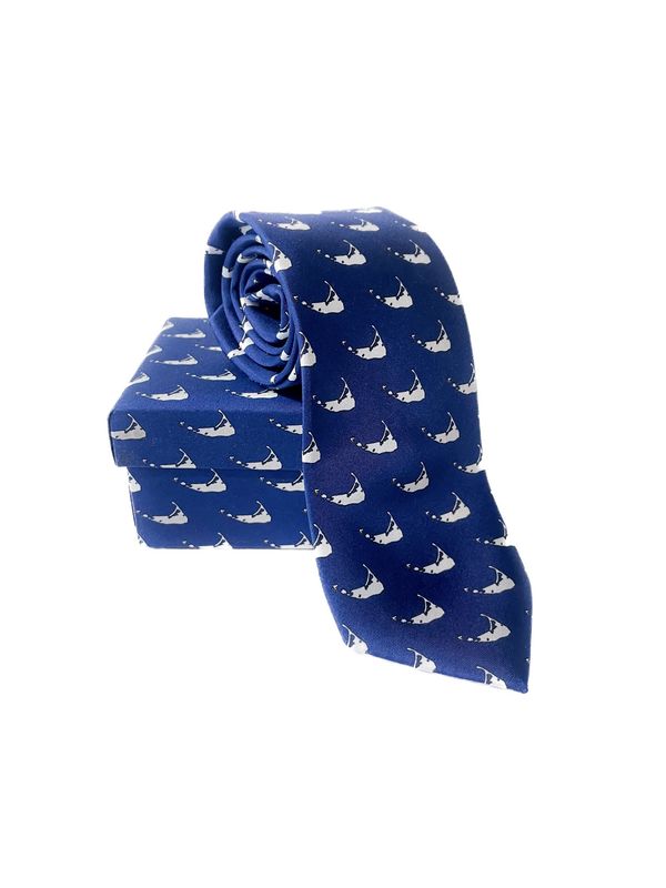 Boxed Nantucket Island Necktie (Blue with White)