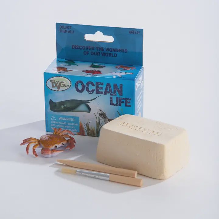 Ocean Life excavation kit