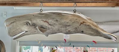Great White Whale