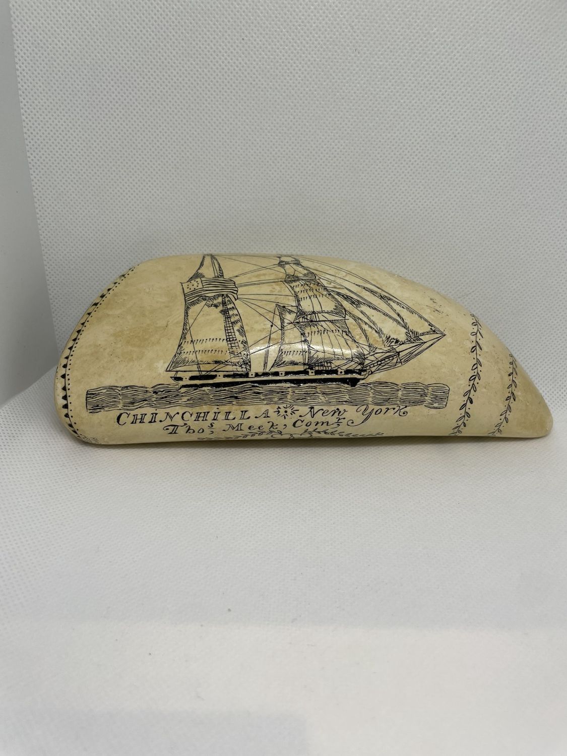 Scrimshaw Tooth, Reproduction Scrimshaw, Chinchilla