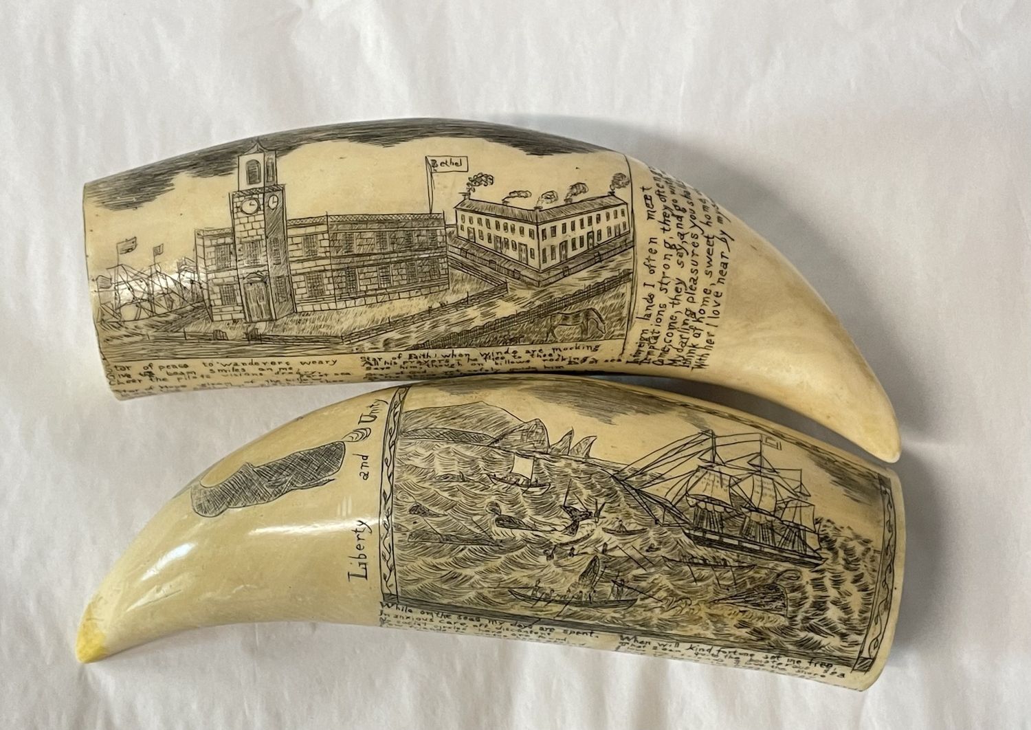 Scrimshaw Tooth-Reproduction Starbuck Dated March 18, 1835