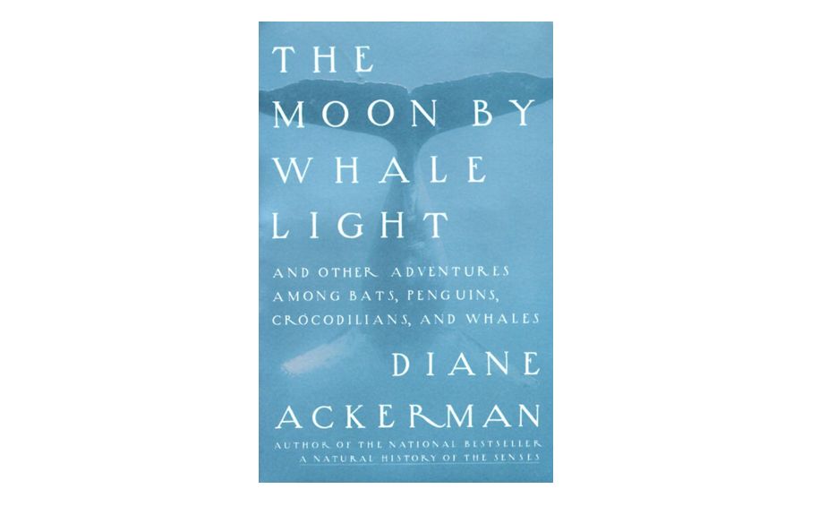 The Moon By Whale Light