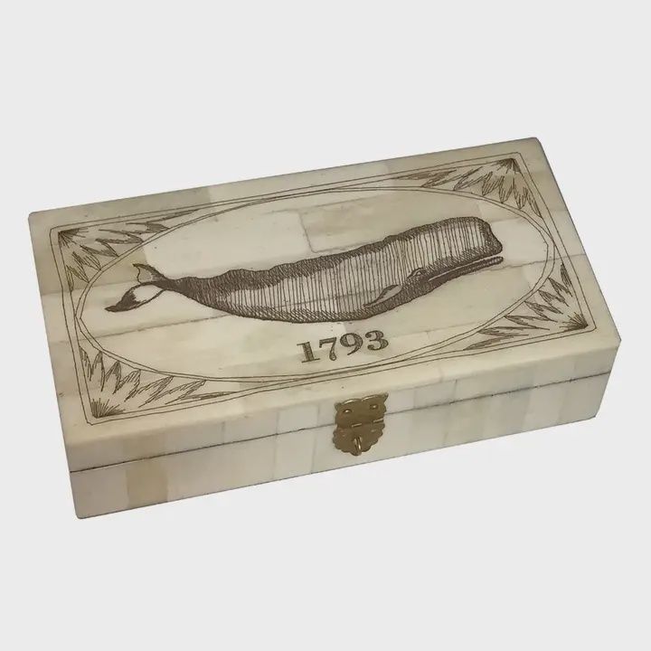 Engraved 1793 Whale Scrimshaw Bone Box 6 ¼&quot;
