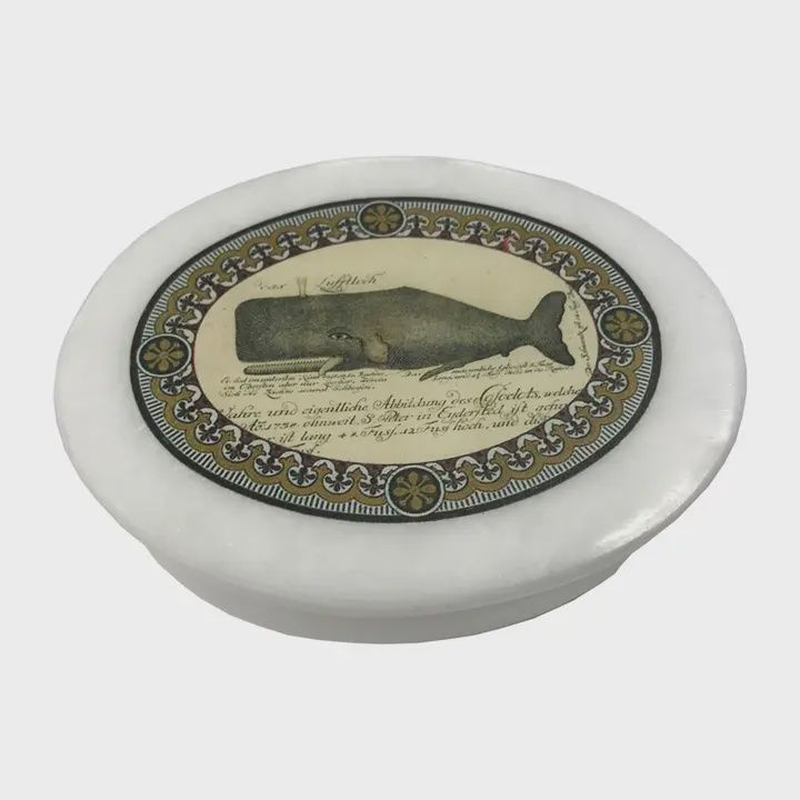 Sperm Whale White Oval Soap Stone Decorative Box 4&quot;