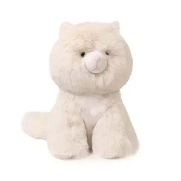 Kiki the Himalayan Cat