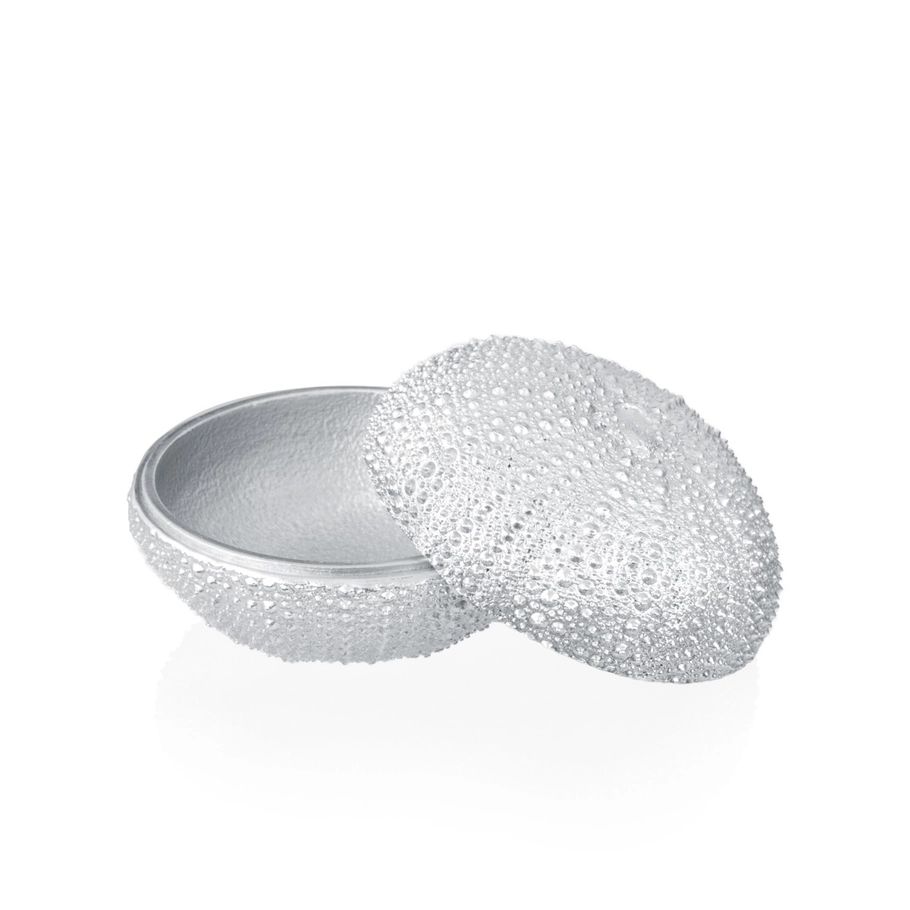 Sea Urchin Memory Box