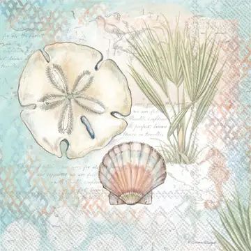 Cocktail Napkins - Sand Dollar