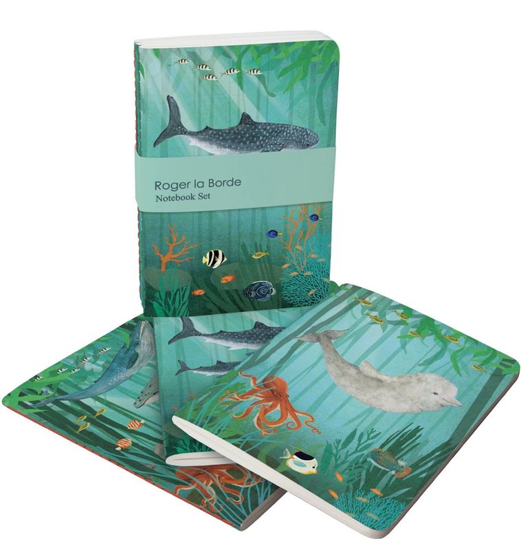 Whale Song CHIC BOXED CARDS