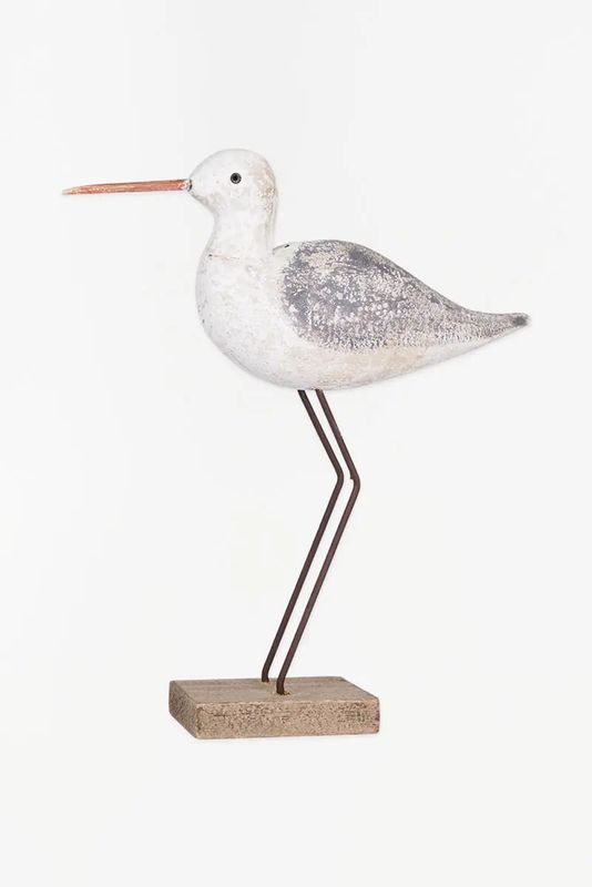 Shore Bird