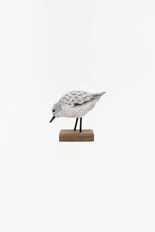 Sandpiper bird
