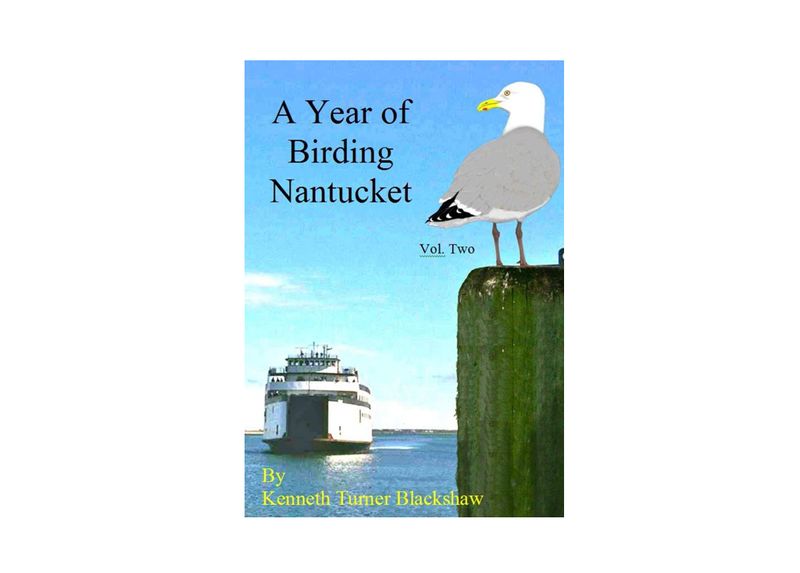 A Year Of Birding Nantucket Volume 2 by Kenneth Turner Blackshaw