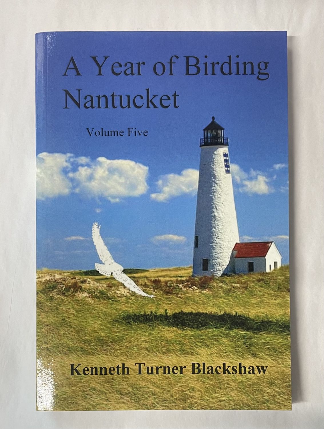 A Year Of Birding Vol 5