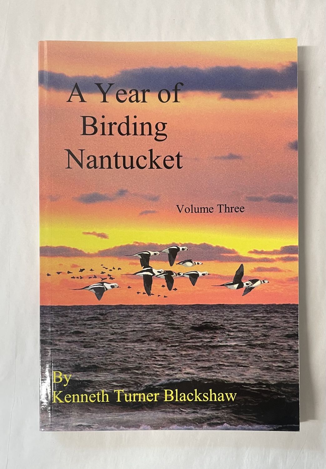 A Year Of Birding Vol 3