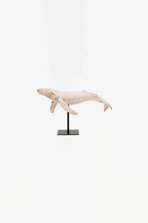 Medium Humpback w/Stand, Colour: White