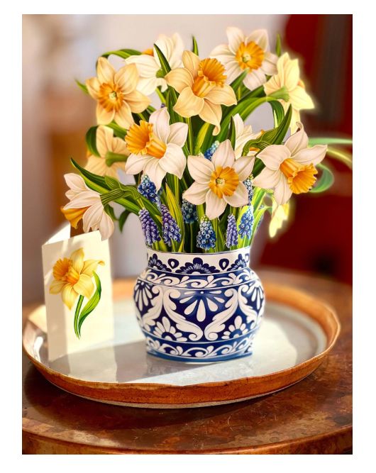 English Daffodils Pop-Up Flowers Greeting Card - Life Sized